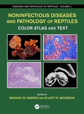 Noninfectious Diseases and Pathology of Reptiles: Color Atlas and Text, Diseases and Pathology of Reptiles, Volume 2 by Michael M. Garner
