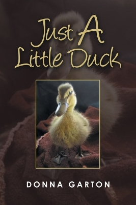 Just a Little Duck book