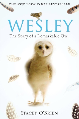 Wesley: The Story of a Remarkable Owl by Stacey O'Brien