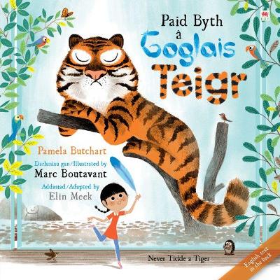 Paid Byth â Goglais Teigr/Never Tickle a Tiger by Pamela Butchart