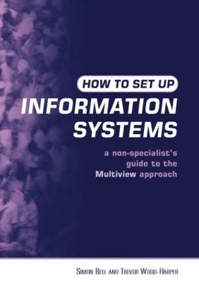 How to Set Up Information Systems by Simon Bell