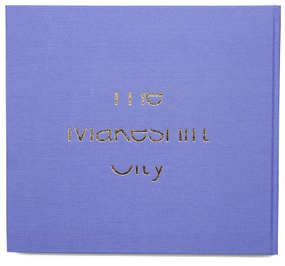 The Makeshift City book