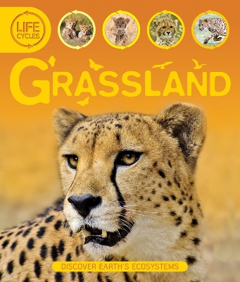 Life Cycles: Grassland book
