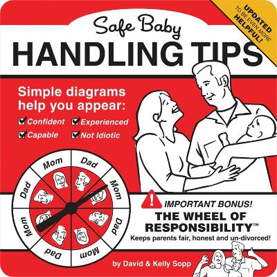 Safe Baby Handling Tips book