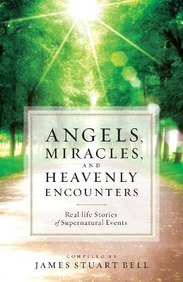 Angels, Miracles, and Heavenly Encounters book