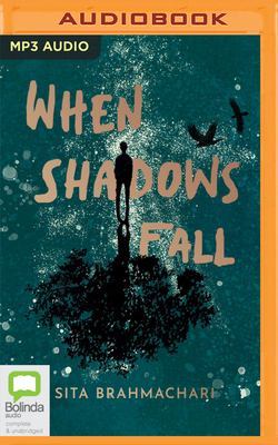 When Shadows Fall by Kaye Dobbie
