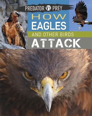 Predator vs Prey: How Eagles and other Birds Attack by Tim Harris