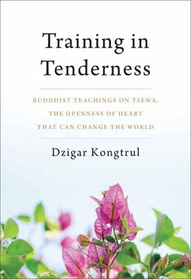 Training In Tenderness book