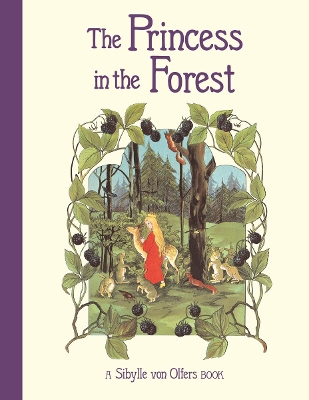 The Princess in the Forest book