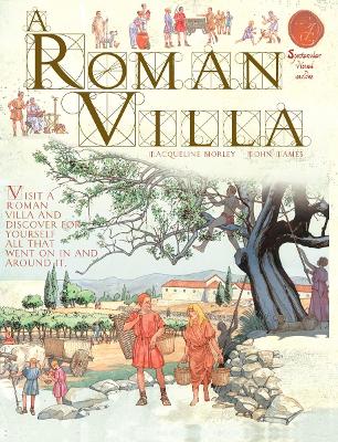 Roman Villa book
