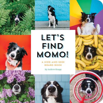 Let's Find Momo!: A Hide-and-Seek Board Book book