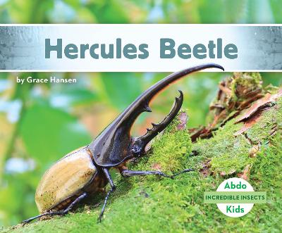 Incredible Insects: Hercules Beetle book