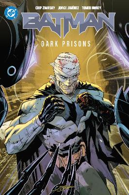 Batman Vol. 4: Dark Prisons book