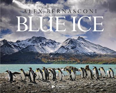 Blue Ice by Alex Bernasconi