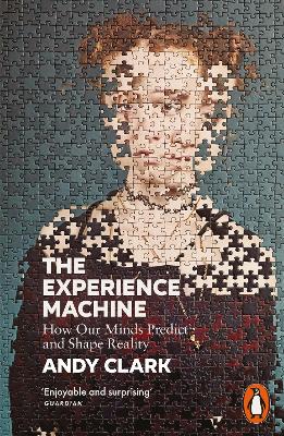 The Experience Machine: How Our Minds Predict and Shape Reality by Andy Clark