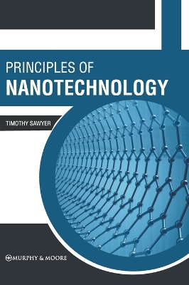 Principles of Nanotechnology book