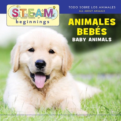 Baby Animals/Animales de Bebe by Joseph Gardner