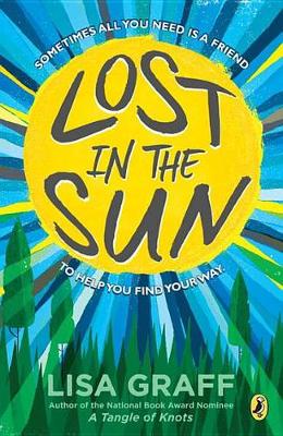 Lost in the Sun book