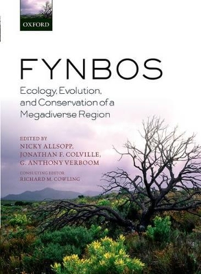Fynbos by Nicky Allsopp