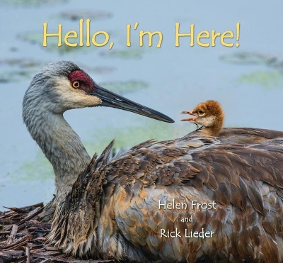 Hello, I'm Here! book