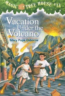 Vacation Under the Volcano book