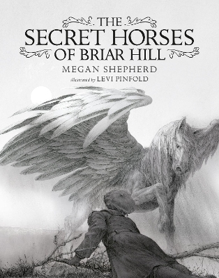 The Secret Horses of Briar Hill by Megan Shepherd