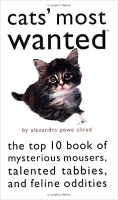 Cats' Most Wanted book