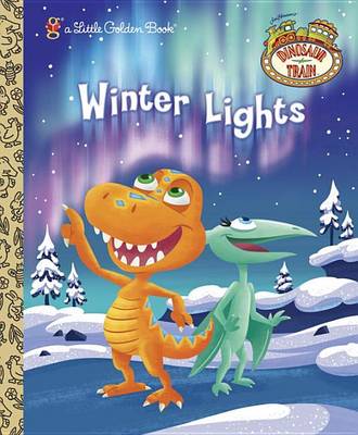 Winter Lights book