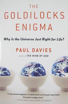 The The Goldilocks Enigma by Paul Davies