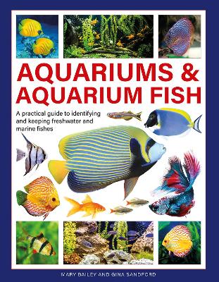 Aquariums & Aquarium Fish: A practical guide to identifying and keeping freshwater and marine fishes book