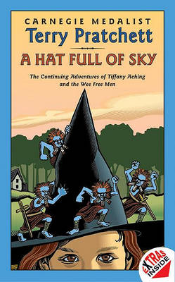 Hat Full of Sky book