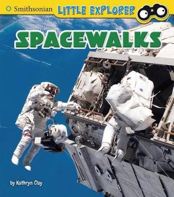 Spacewalks book