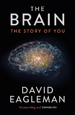 The Brain by David Eagleman