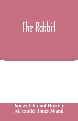 The rabbit book