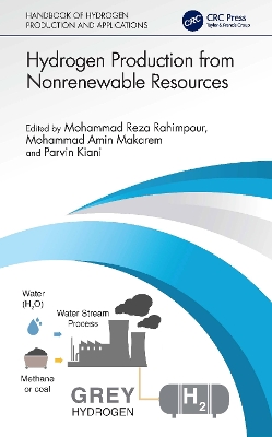 Hydrogen Production from Nonrenewable Resources book