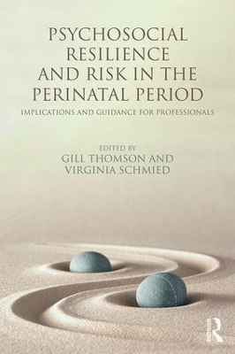 Psychosocial Resilience and Risk in the Perinatal Period book