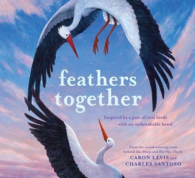 Feathers Together book