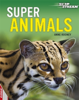 EDGE: Slipstream Non-Fiction Level 1: Super Animals book