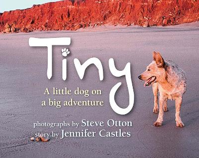 Tiny: A Little Dog on a Big Adventure by Steve Otton