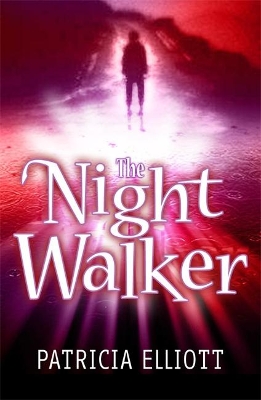 Night Walker book