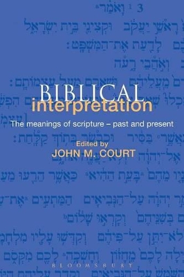 Biblical Interpretation book