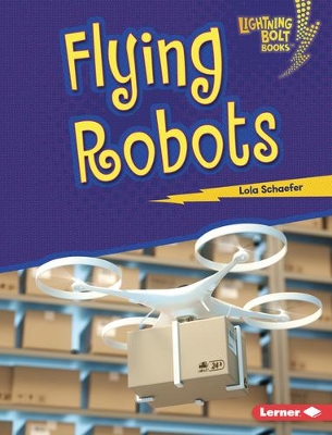 Flying Robots book