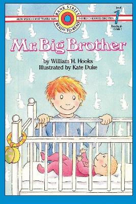 MR. Big Brother book