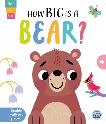 How Big is a Bear? book