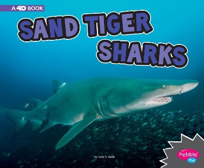 Sand Tiger Sharks by Jody S. Rake