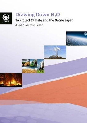 Drawing down N2O to protect climate and the ozone layer book