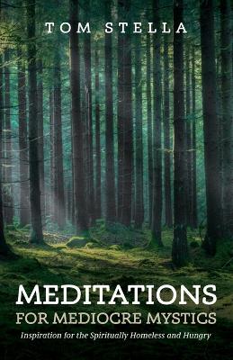 Meditations for Mediocre Mystics book