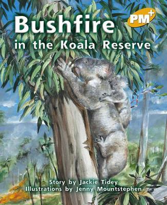 Bushfire in the Koala Reserve book