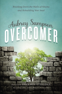 Overcomer book