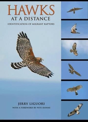 Hawks at a Distance book